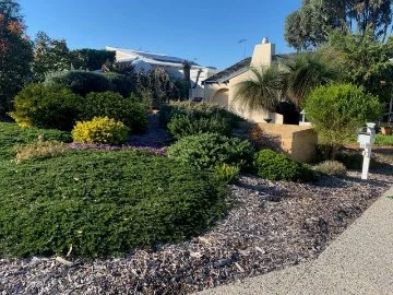 5 years after transforming their front verge, it has grown into a waterwise and biodiverse paradise.