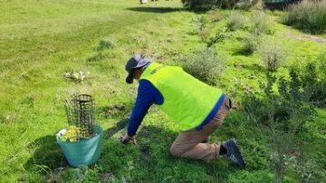 Bryan covering up a turtle nest to protect it from predation from foxes, cats, dogs and birds.