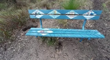 The beautifully painted bench seats are perfect for relaxing and enjoying nature at Periwinkle Park.