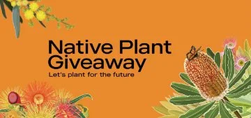 Native Plant Giveaway banner