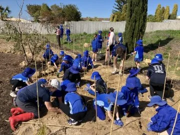 Year 4-6 students from Poseidon Primary School helped with the planting of over 31 locally native species in the Miyawaki Forest.