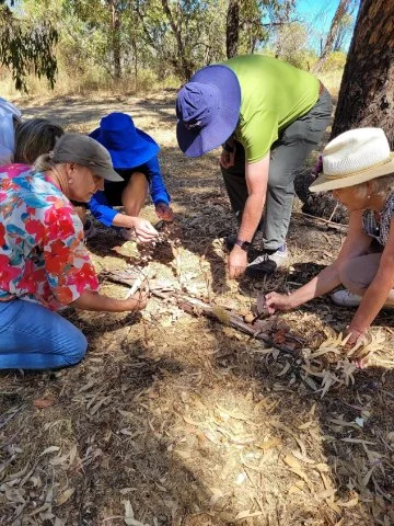 Reconnecting with the natural world