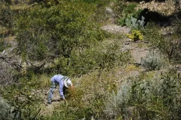 Volunteers are at the heart of Periwinkle Bushland