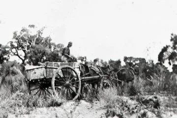 Charles Leach carting sand from Lake Gnangara ca. 1910