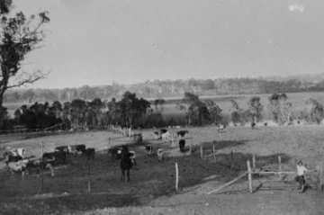 Craigie Farm, Edgewater 1926