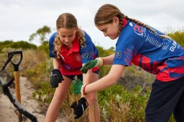 Photo of school children planting