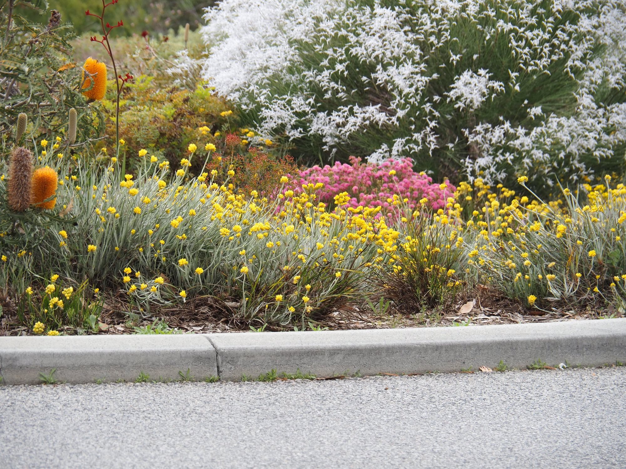 Sustainable gardening