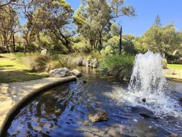 Artificial wetlands