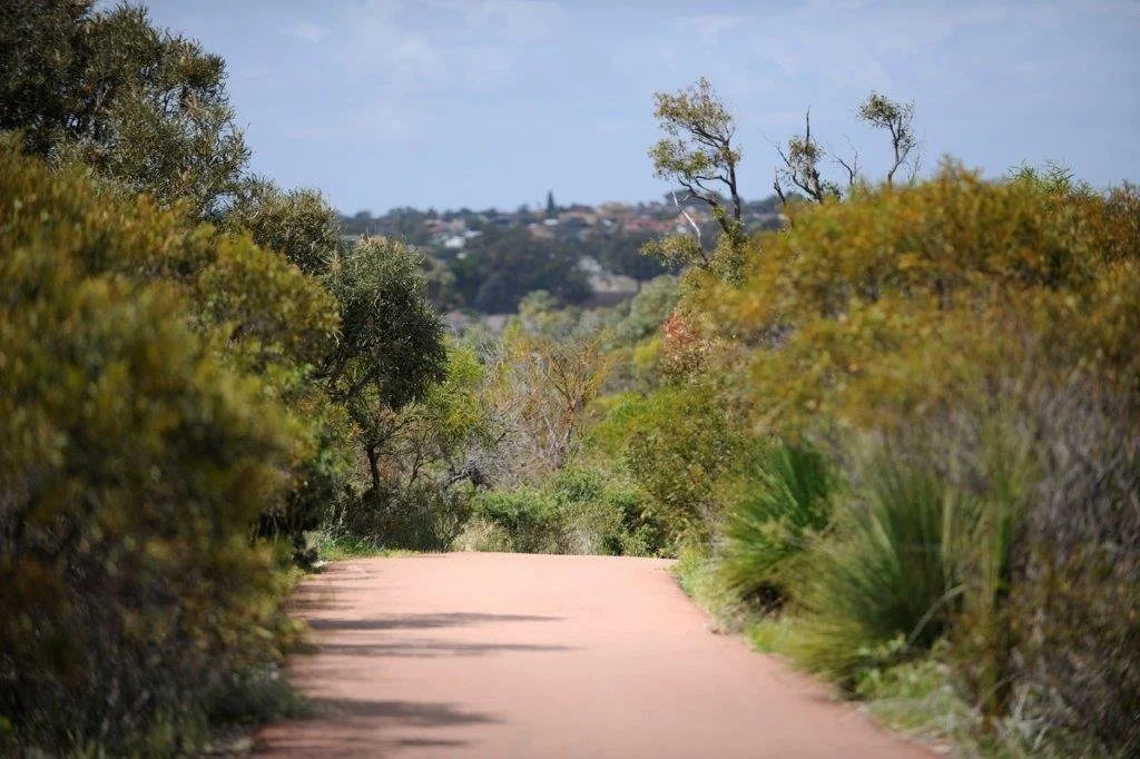 Park and bushland management image