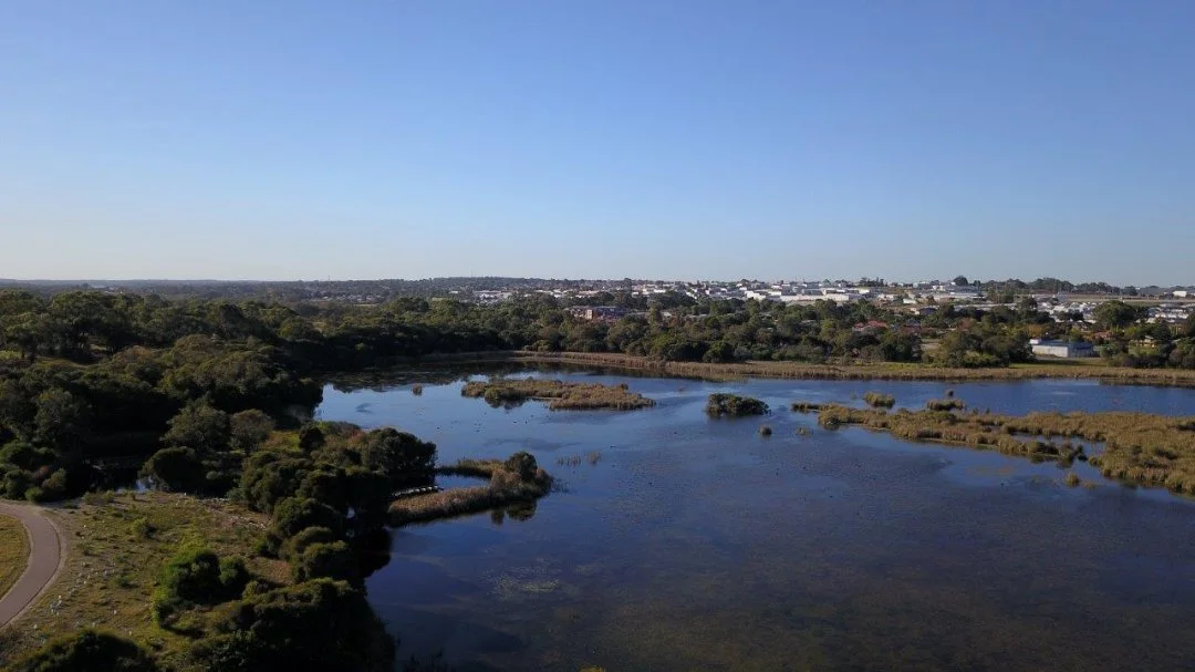 Wetland management image