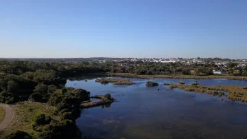 Wetland management image