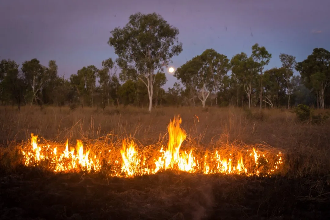 Photo of controlled fire