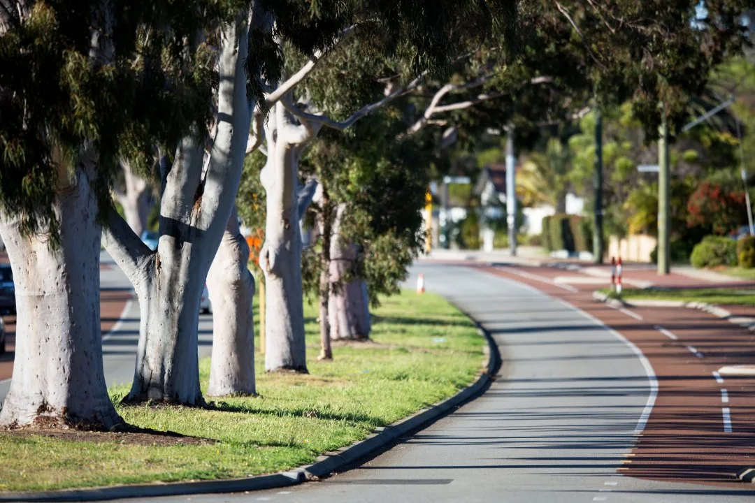 Roads, streets and verges image