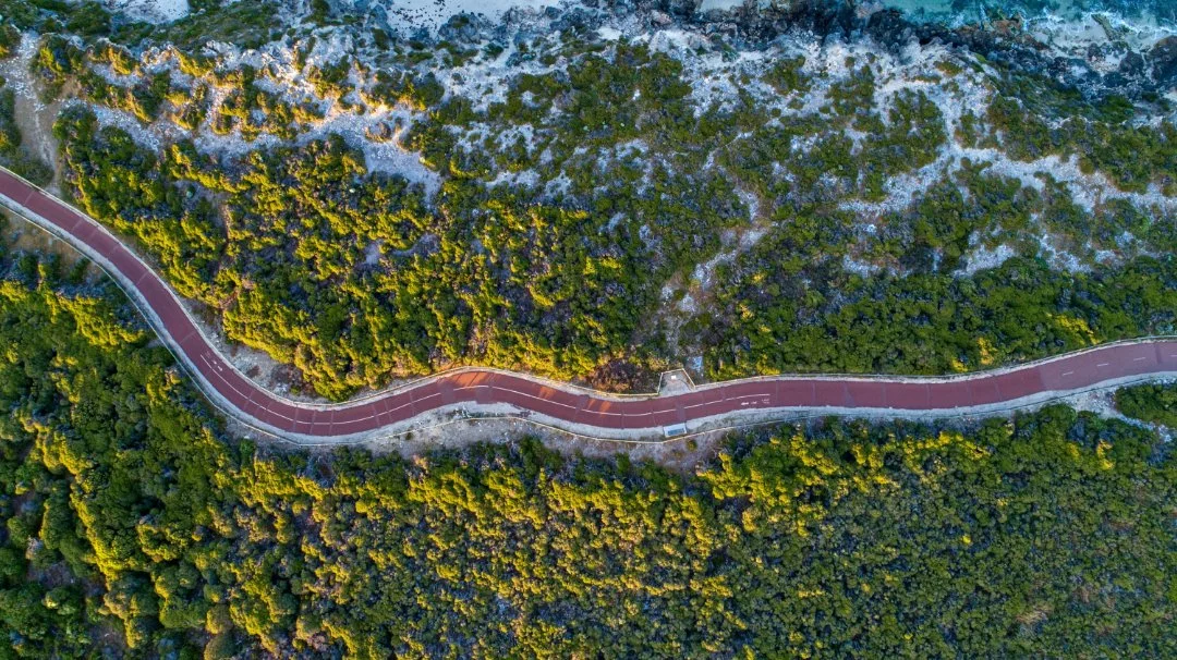 Aerial image of coastal trees