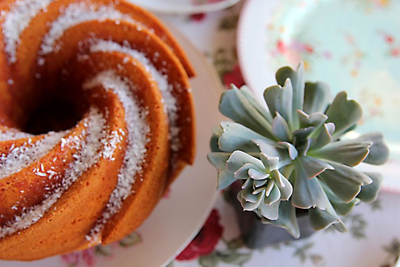 A succulent and a slice of cake